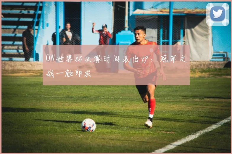 OW世界杯决赛时间表出炉,冠军之战一触即发