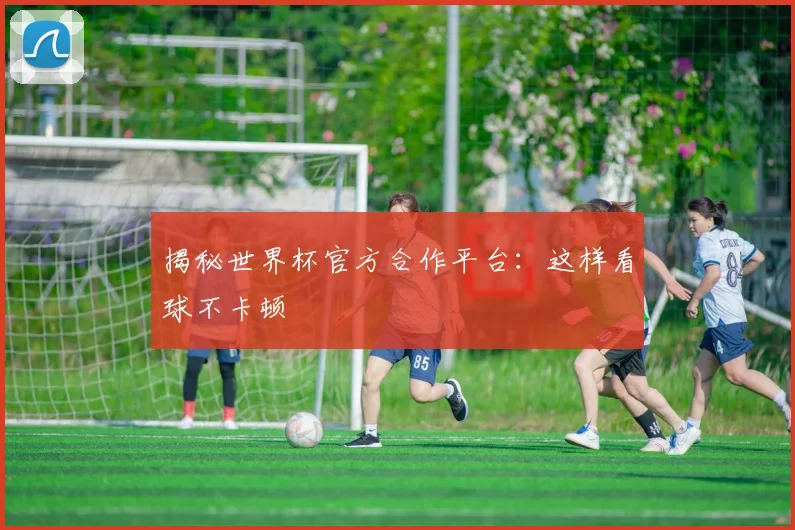 揭秘世界杯官方合作平台：这样看球不卡顿