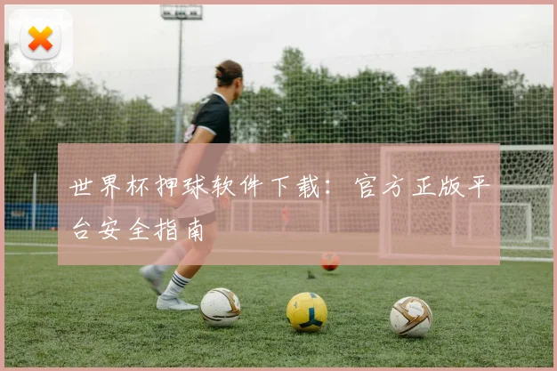 世界杯押球软件下载:官方正版平台安全指南