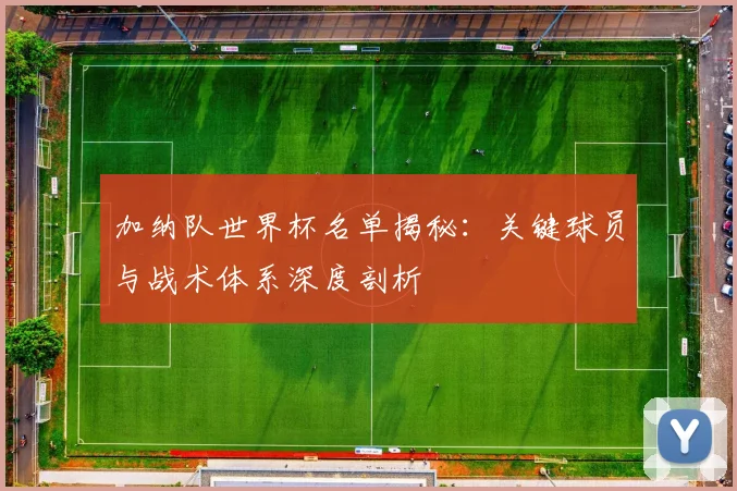加纳队世界杯名单揭秘：关键球员与战术体系深度剖析