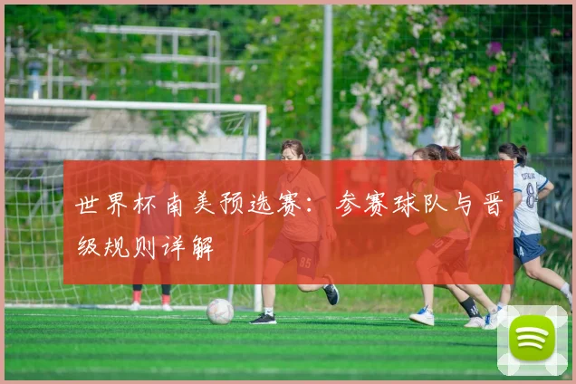 世界杯南美预选赛：参赛球队与晋级规则详解