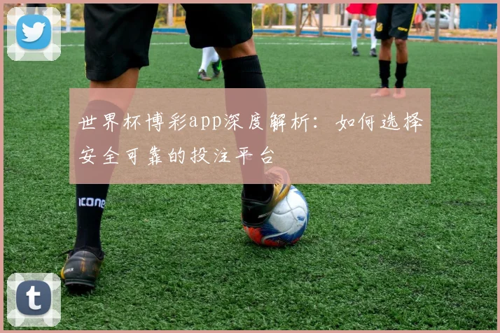 世界杯博彩app深度解析:如何选择安全可靠的投注平台