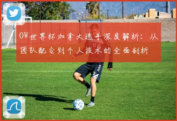 OW世界杯加拿大选手深度解析：从团队配合到个人技术的全面剖析