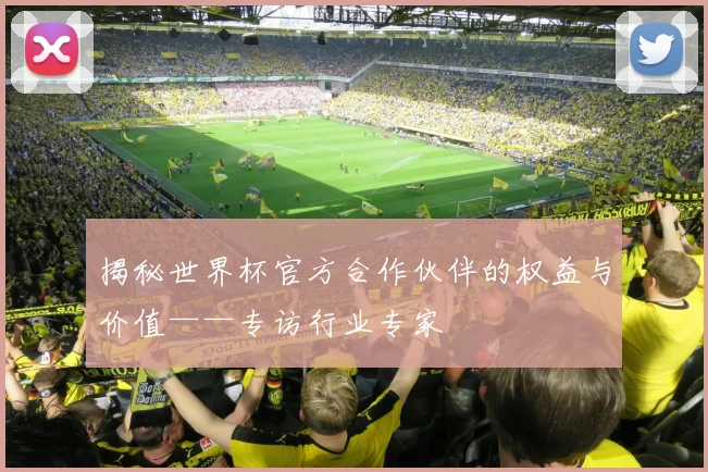 揭秘世界杯官方合作伙伴的权益与价值——专访行业专家