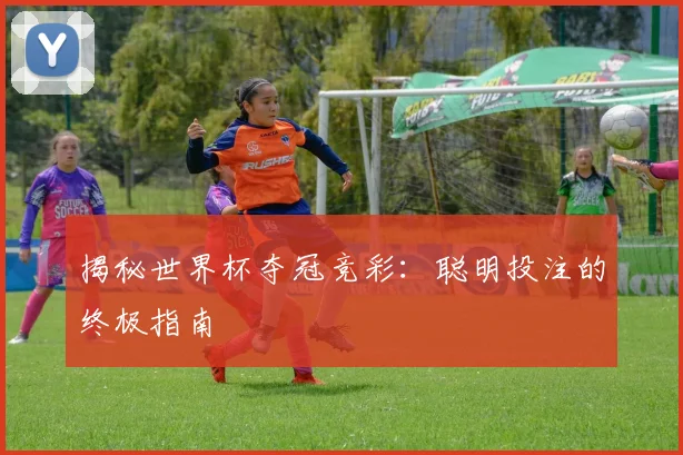 揭秘世界杯夺冠竞彩：聪明投注的终极指南