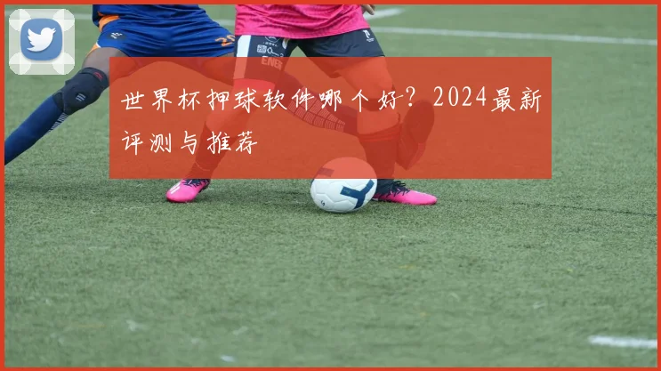 世界杯押球软件哪个好?2024最新评测与推荐